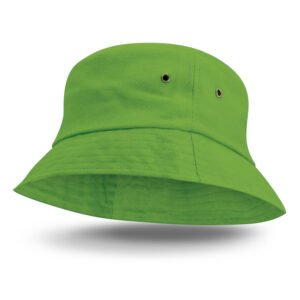 Home kiwi