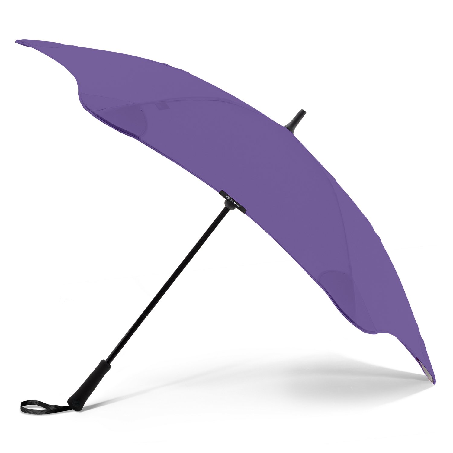violet purple violet purple